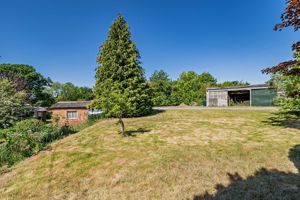 Photo 3- click for photo gallery